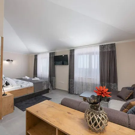 San Lorenzo By Interhome Villa Brtonigla